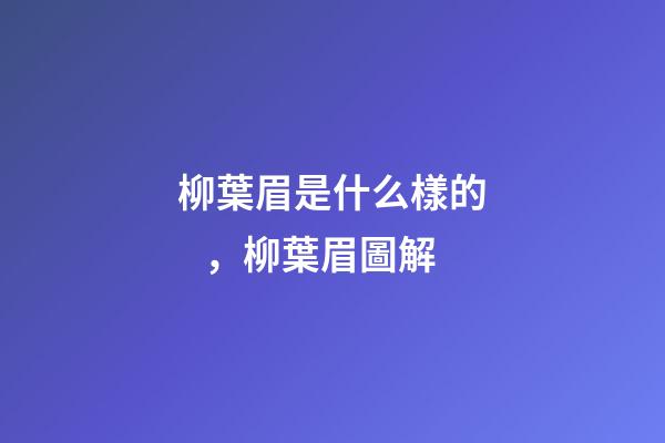 柳葉眉是什么樣的，柳葉眉圖解